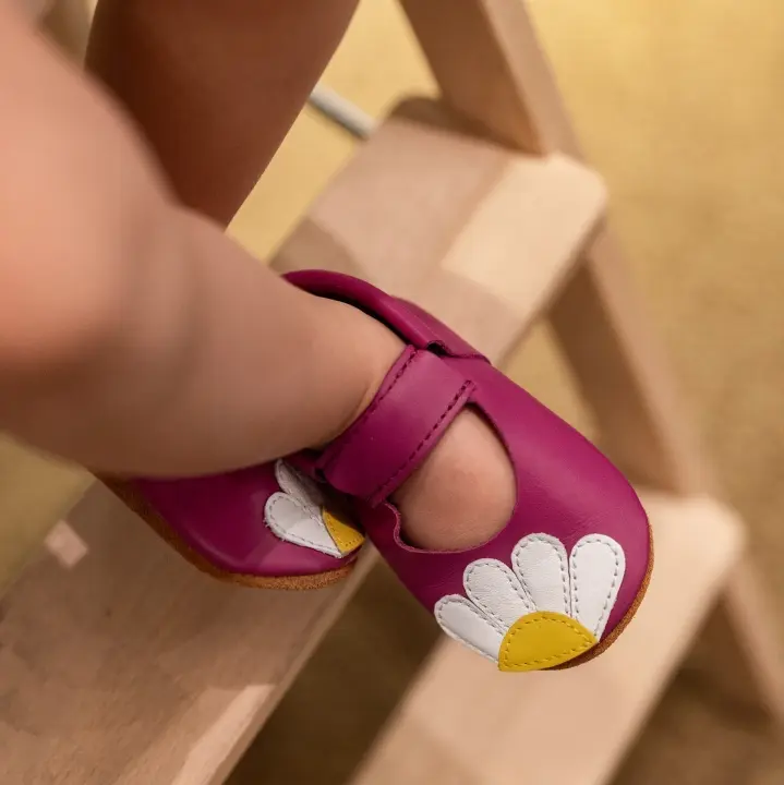 Daisies Magenta