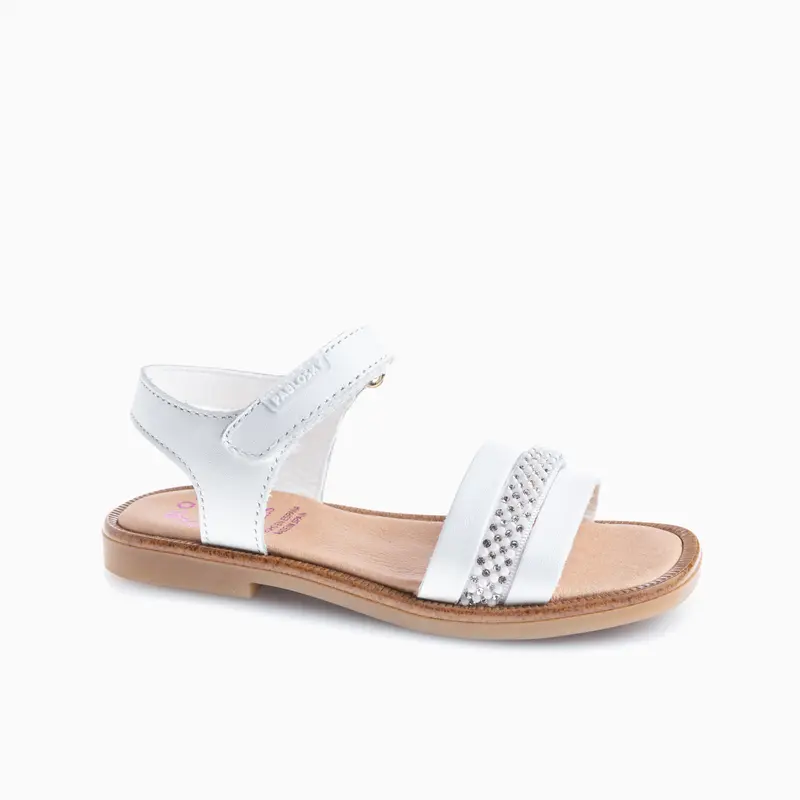 DALIA 427308