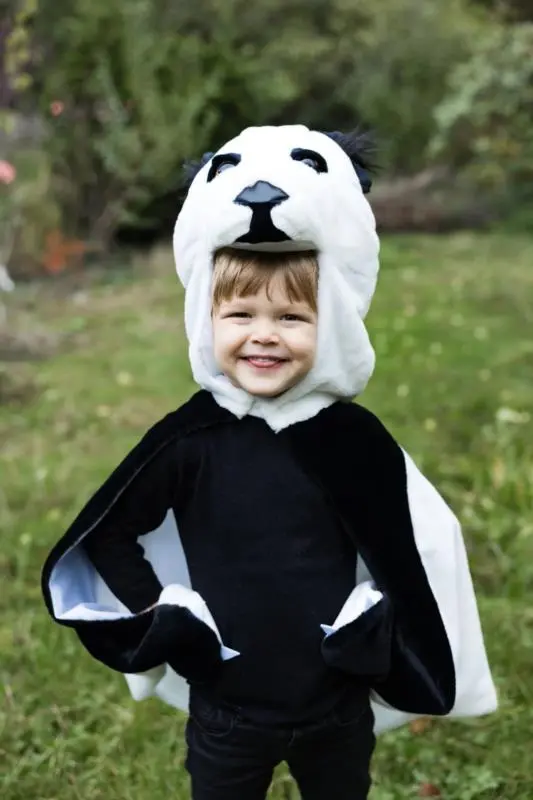 Difraz Panda 2-3