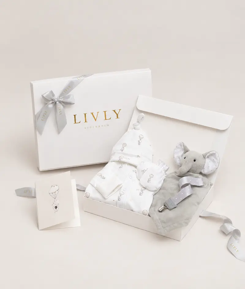 Flying Elephant Gift Set