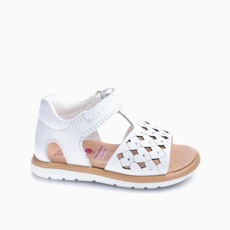 PANDA 038800