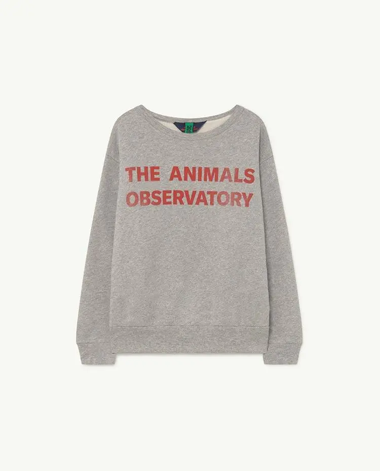 Soft Grey Bear Sweatshirt