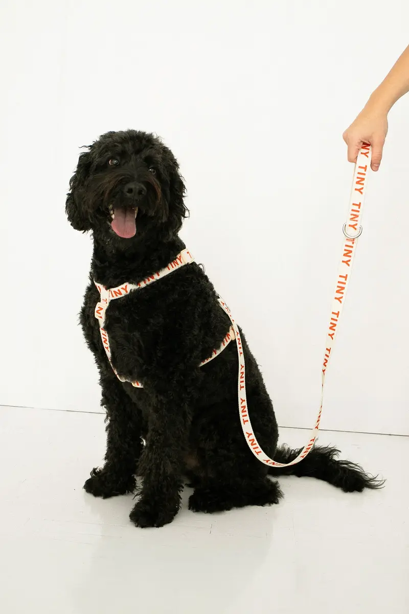 TINY DOG LEASH